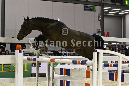 HEY DAY HOPPER_MILANO_2010_SS3_1470.jpg